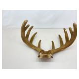 Authentic 22.5" Wide Velvet Buck Antlers