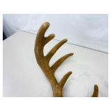 Authentic 22.5" Wide Velvet Buck Antlers