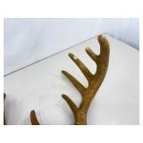 Authentic 22.5" Wide Velvet Buck Antlers