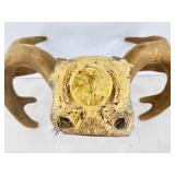Authentic 22.5" Wide Velvet Buck Antlers