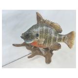 Authentic Taxadermized Fish Mount