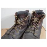 Irish Setter Ashby Men