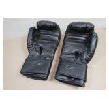 Farrells Boxing Training Gloves - 16oz