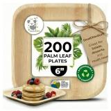 $80 Palm Leaf Plate Bamboo Paper Disposable 6 Inch 200 Bulk Appetizer and Dessert Square Party Pack Eco Biodegradable Compostable Wooden Plate Better Than Plastic By KoalaLove