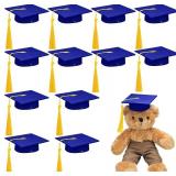 $19 Foilswirl 12 Pcs Mini Graduation Cap with Tassel Mini Plush Mason Jar Small Animal Bachelor Hat Photo Prop Party Supply