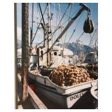 LLFR - Framed Maritime Fishing Boat Print