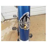 2 Person Bike (TRAUMATE EASYRIDE) nice shape