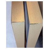 Framed Abstract Canvas Wall Art (Lot of 2)