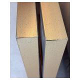 Framed Abstract Canvas Wall Art (Lot of 2)