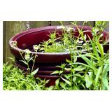 Burgundy Planter Pots (Lot of 4) SEE ALL PHOTOS