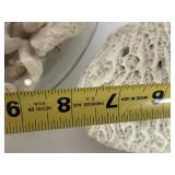 Natural Coral Decor Assortment in Glass Bowl