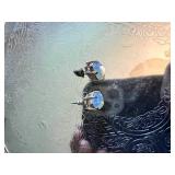 Pair of Opal Earrings