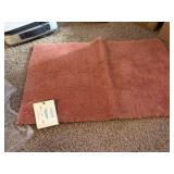 Linden Street Performance Fade & Stain Resistant Bath Rug Savanah Clay Reddish/Pinkish Color Large 21 inches x 34 Inches