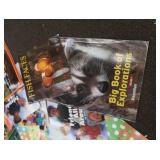 LOT OF OVERSIZED KINDERGARDEN BOOKS