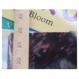 LOT OF OVERSIZED KINDERGARDEN BOOKS