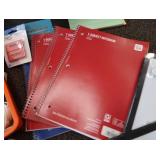 FUN SCHOOL/OFFICE SUPPLY LOT