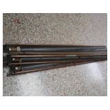 ANTIQUE ANATOMY PULL DOWN SCREENS (4)