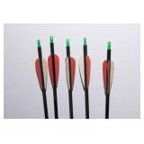 Assorted Archery Arrows