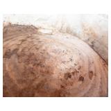 Galvanized Metal Wash Tubs (Lot of 3)