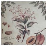O - Les Mangues Framed Botanical Print