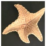 K - Shell Collection Ben Rickert Sea Urchin Pomander Coral & Shell Assortment