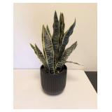 (2) ARTIFICIAL PLANT ARRANGEMENT