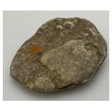 Group Of Misc. Fossil Clumps
