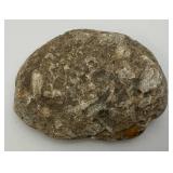 Group Of Misc. Fossil Clumps