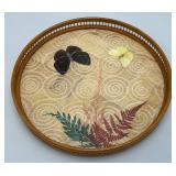 Vintage Mid-Century 11" Bamboo Serving Tray And Coasters With Mounted Butterflies