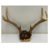 Vintage 8 Point Buck Horns & Potable Ice Fishing Tip-Up (NEW In Pack)