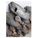 Duck Decoy Collection