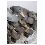 Duck Decoy Collection