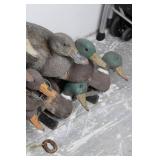 Duck Decoy Collection