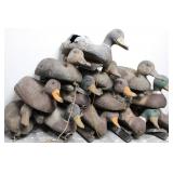 Duck Decoy Collection