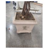 Artificial Ficus Trees in Planters (Lot of 2)