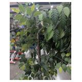 Artificial Ficus Trees in Planters (Lot of 2)