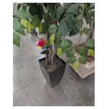 Artificial Ficus Trees in Planters (Lot of 2)
