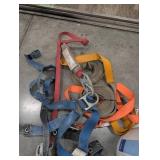 DBI Sala Fall Protection Harness and Lanyard Mixed Lot