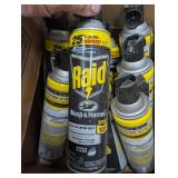 Raid Wasp & Hornet Spray