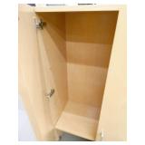 Cabinet that is made to sit on top of a counter 30w 16d 48 tall