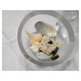 Glass Fish Shaped Decorative Bowl with Shells and Stones