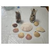 Collection of Seashells and Rocks in Glass Jars