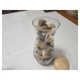 Collection of Seashells and Rocks in Glass Jars