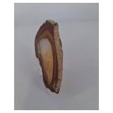 Banded Agate Slice Geode Display Specimen