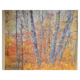 Canvas Artwork - Nature by Joyce Kleven - Signed