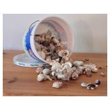 Lot of (1 Bucket) Sea Shells