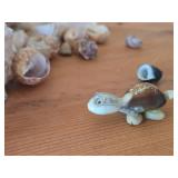 Lot of (1 Bucket) Sea Shells