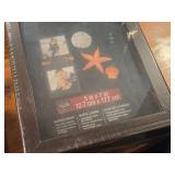 Lot of (4) Shadow Boxes (assorted)