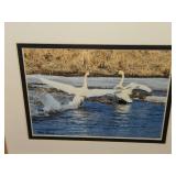 Lot of (2) Swan theme Art Work - Joyce Kleven -