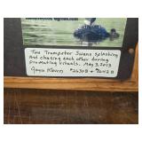 Lot of (2) Swan theme Art Work - Joyce Kleven -